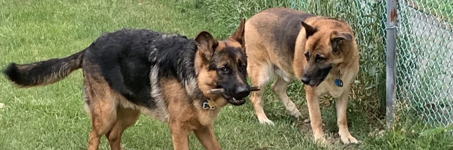 Robert Demore banner