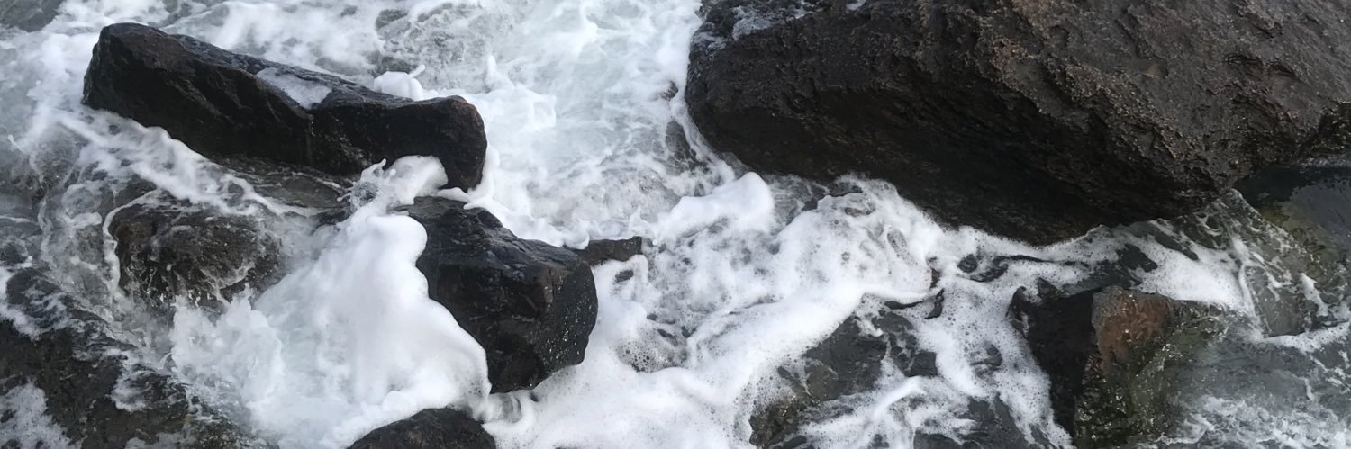 lizochef's profile banner image