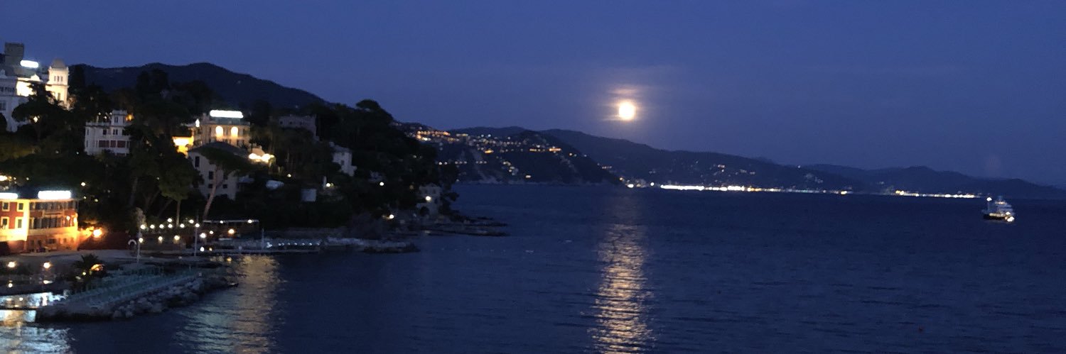 fiorenichole's profile banner image
