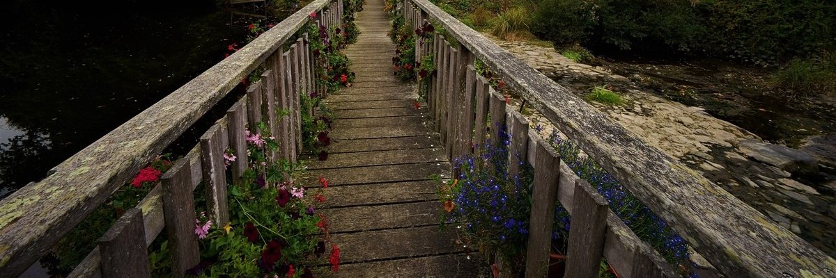 Miraceti29's profile banner image