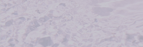 BarbsPalvinSW's profile banner image