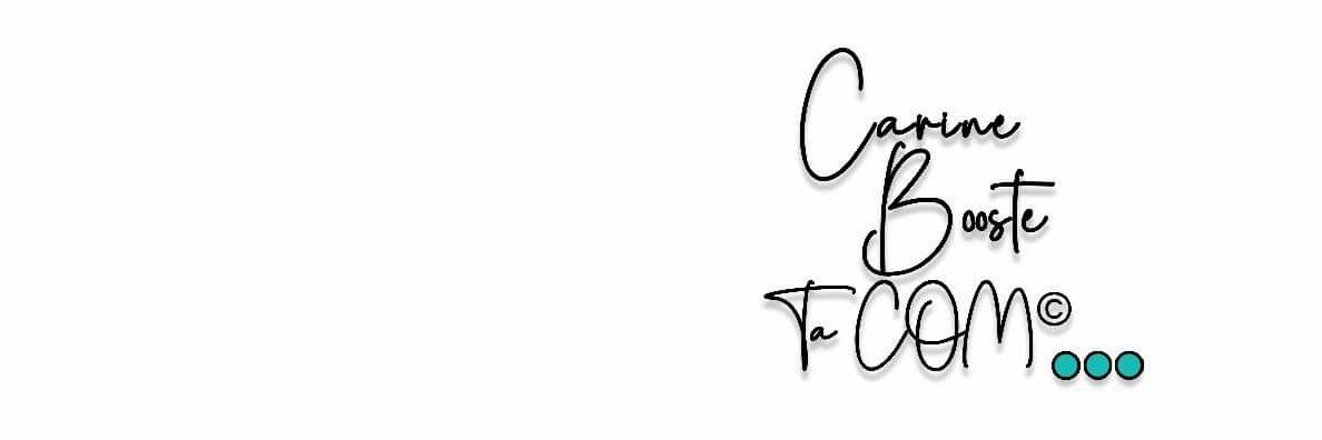 CarinePinart's profile banner image