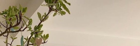 swiftdelrey_'s profile banner image