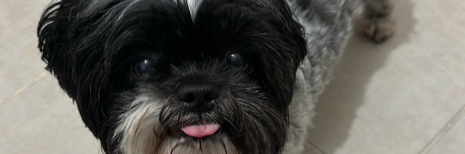 leonelmarqez's profile banner image
