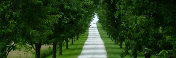 annamarson's profile banner image