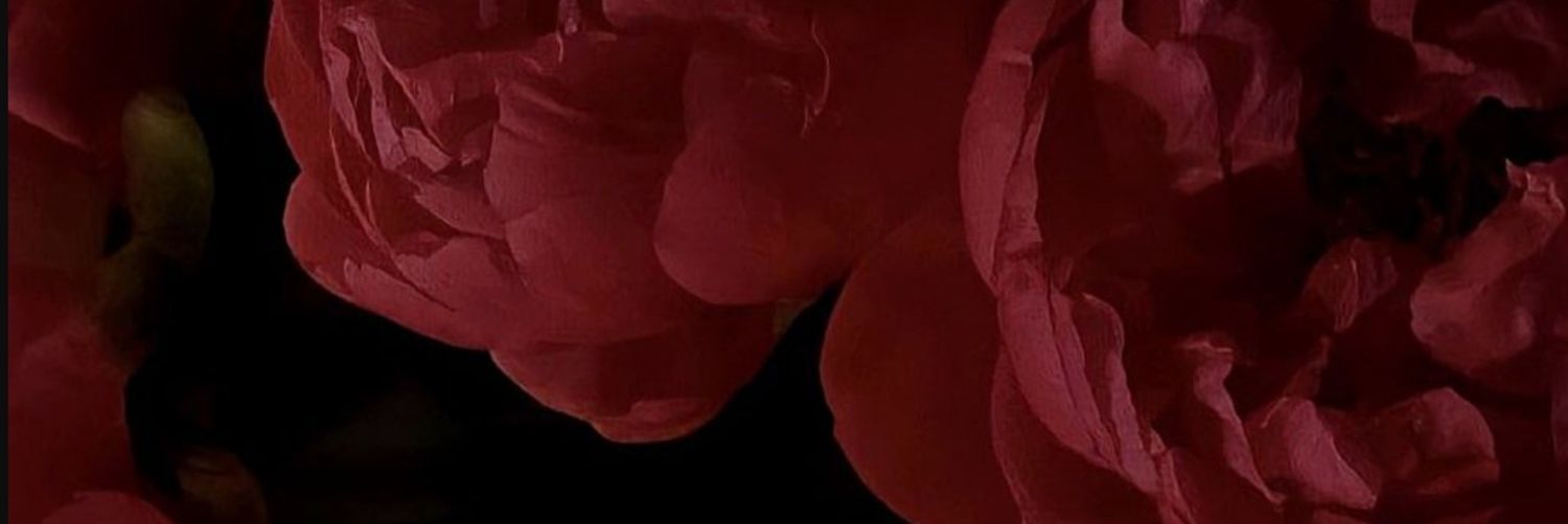 sslakoyuncu's profile banner image