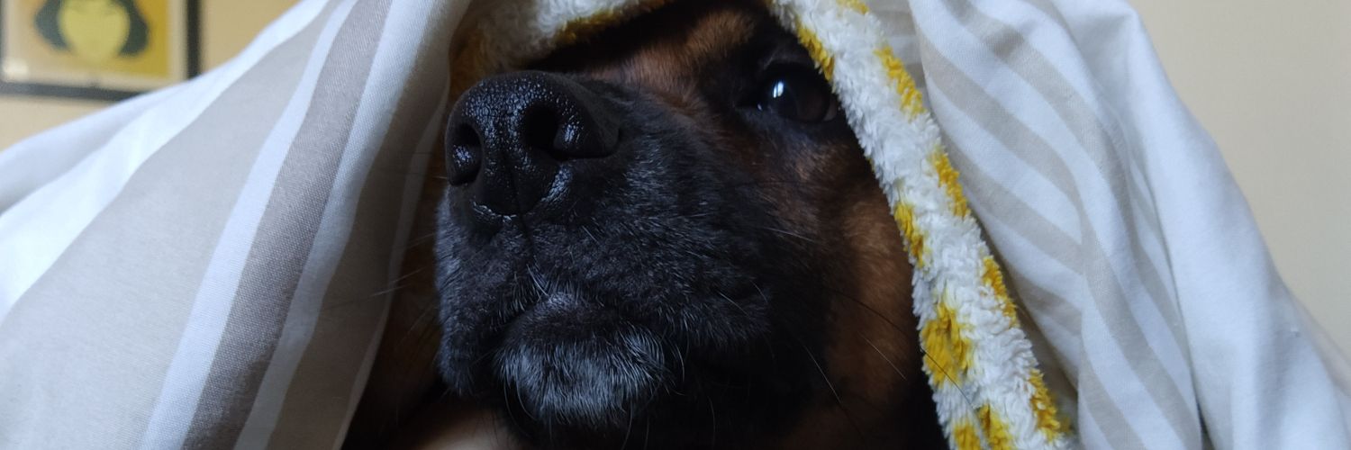 Heytainaraa's profile banner image