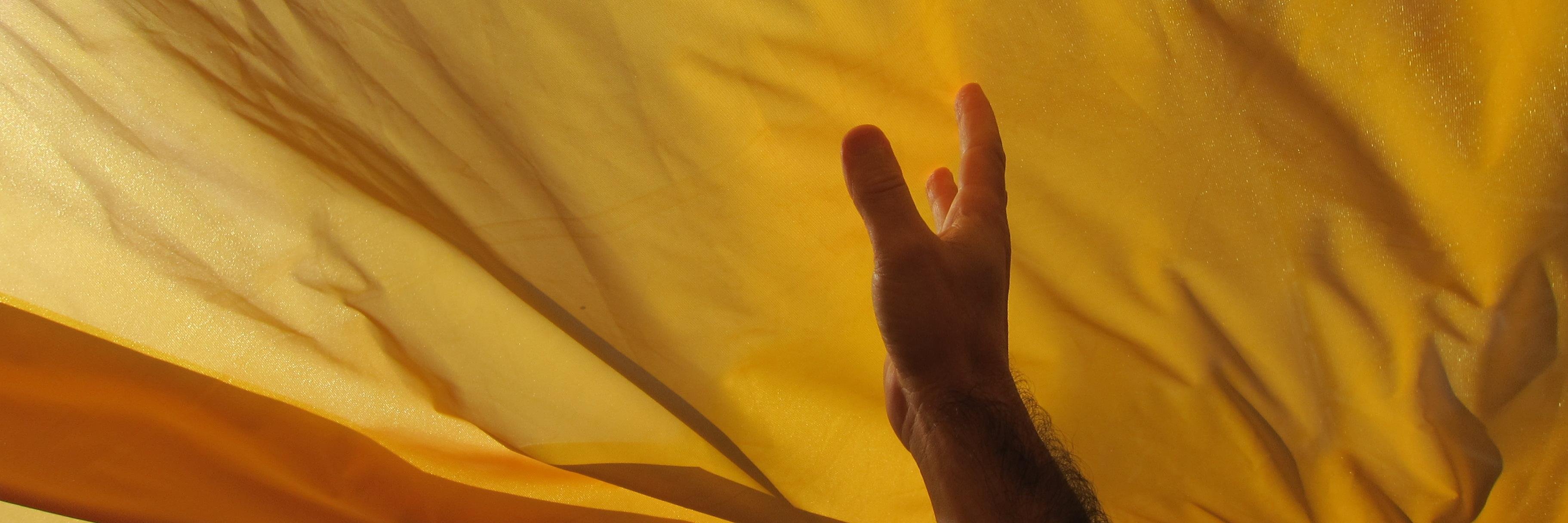 TriniBisa's profile banner image