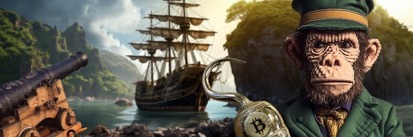 StPaddyPirate Profile Banner