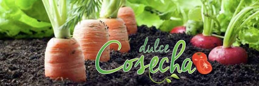 dulcecosecha's profile banner image