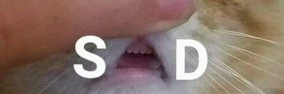Paucollins's profile banner image