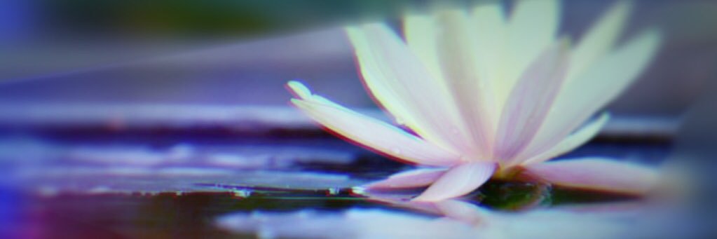lovecreatemani's profile banner image