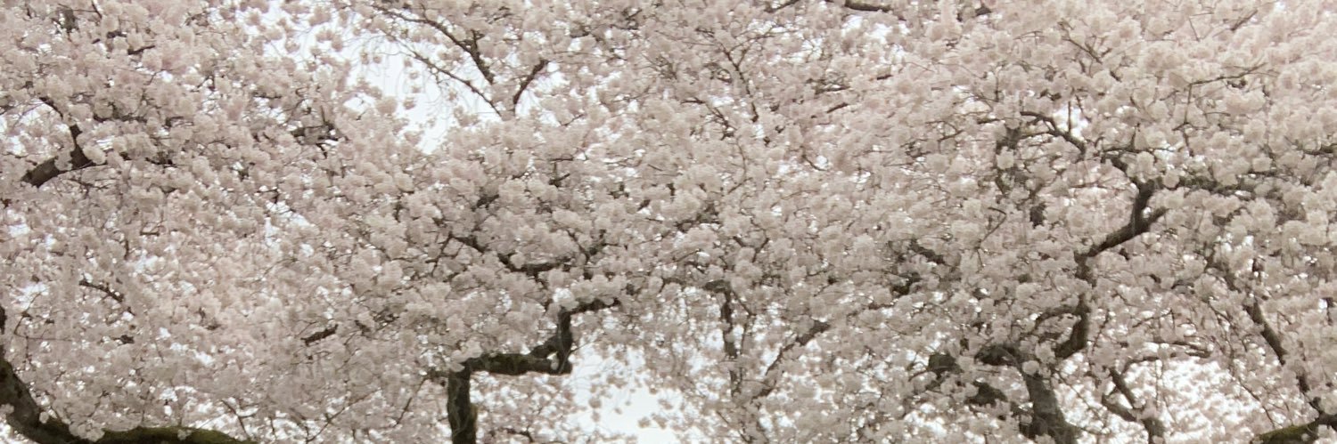 Lovesyd6's profile banner image