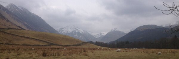 Brooke_Swash Profile Banner