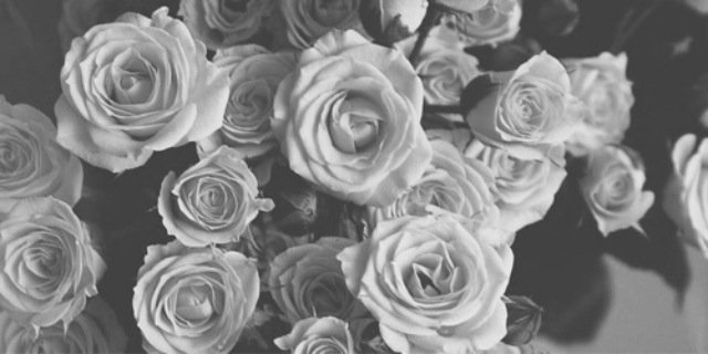 CrystclHC's profile banner image