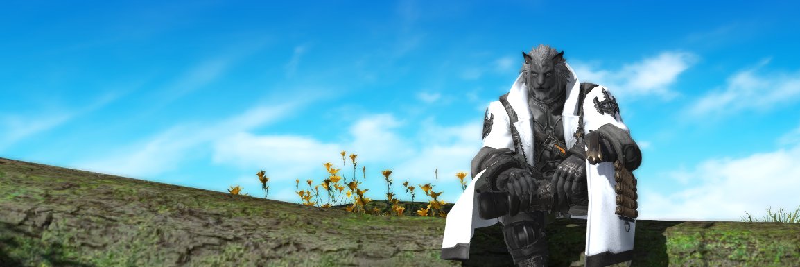 団長 banner