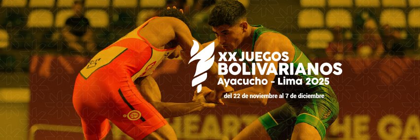 Team Perú Oficial banner