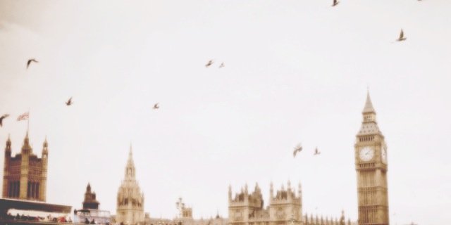 SomerhalderHC's profile banner image