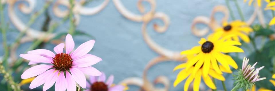 MaddiesBG's profile banner image