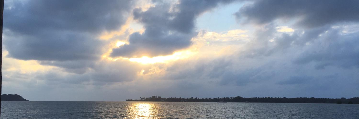 Triptoned's profile banner image