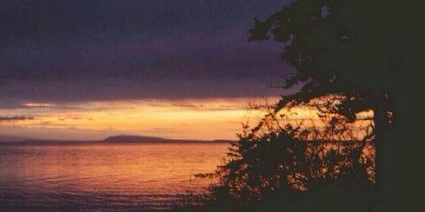 sooosr13331's profile banner image