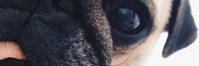 mvhxx's profile banner image