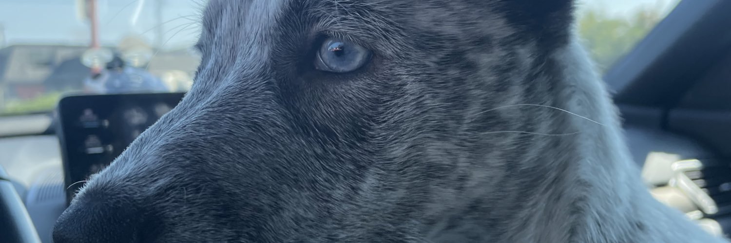 bree_munoz's profile banner image