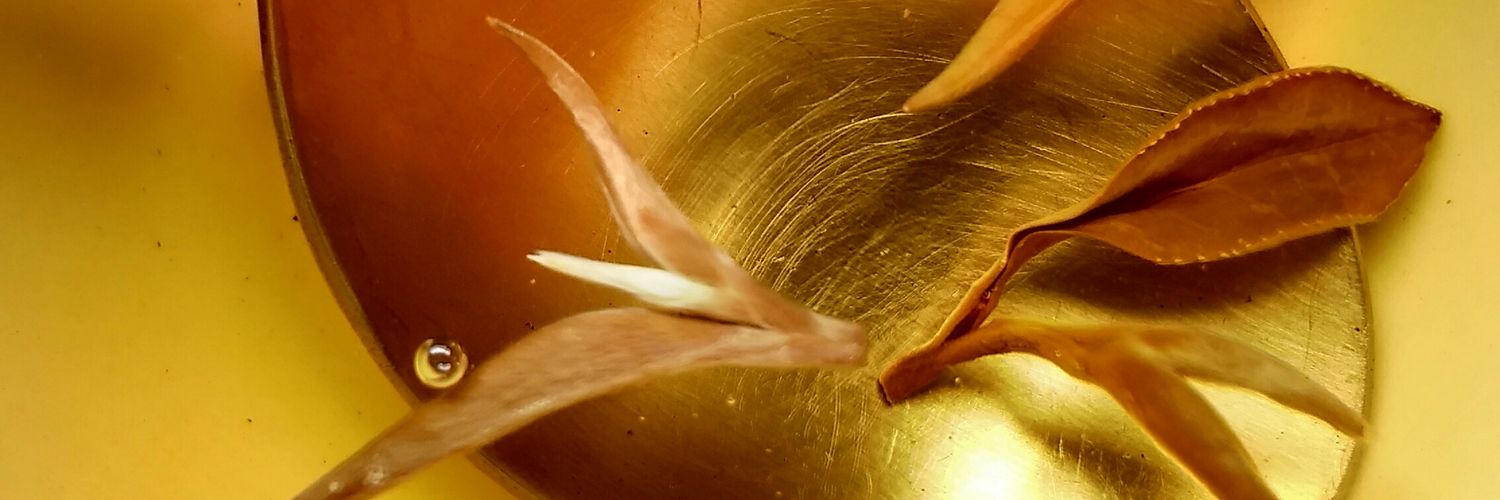 TeaAbsolute's profile banner image