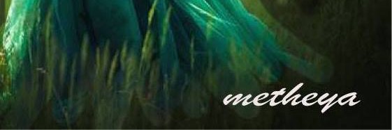 current_symbol's profile banner image