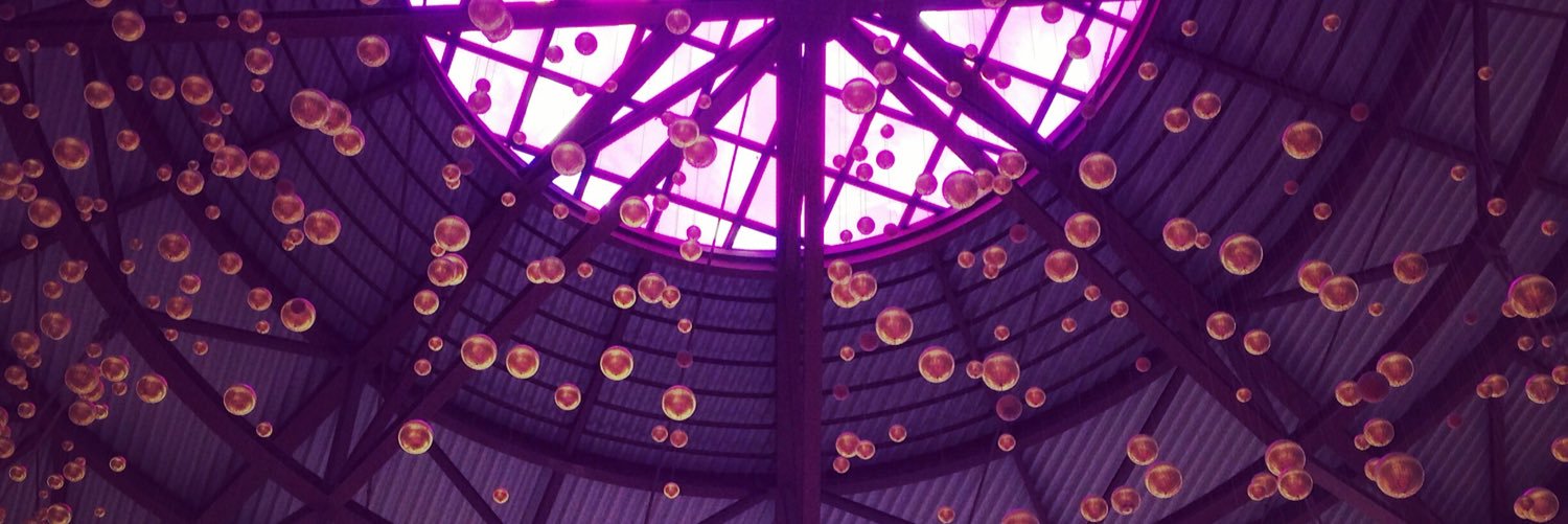 zimsights's profile banner image