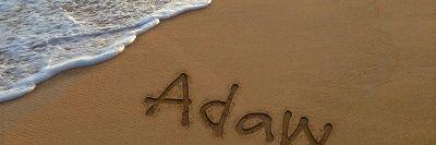 AdawMohammed's profile banner image