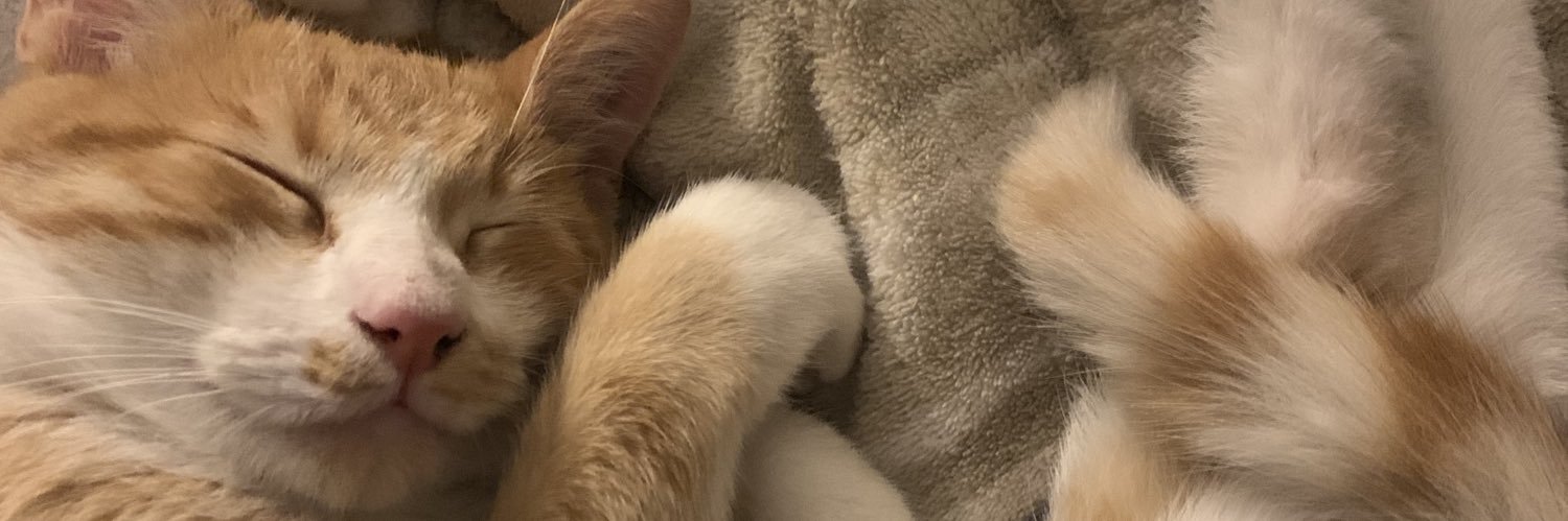 Lucianoo_01's profile banner image