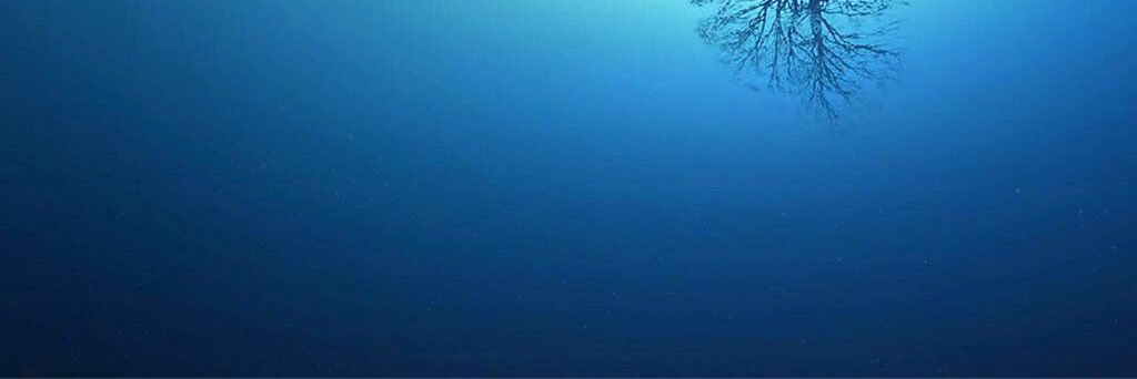 slmanone331's profile banner image