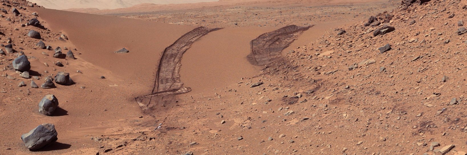 Linus Johansson banner