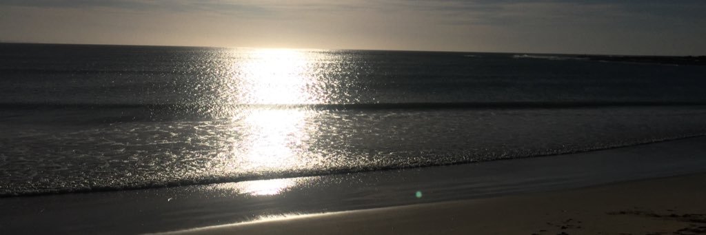 MissNikkiRoo's profile banner image