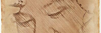 ElhamTanjima's profile banner image