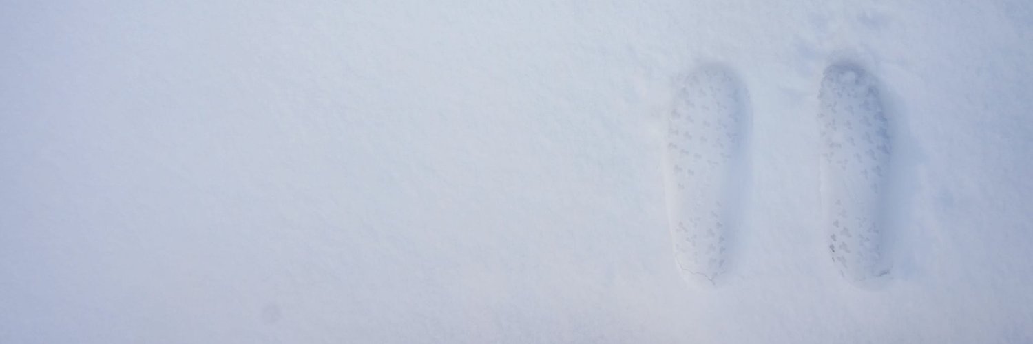laidiggity's profile banner image