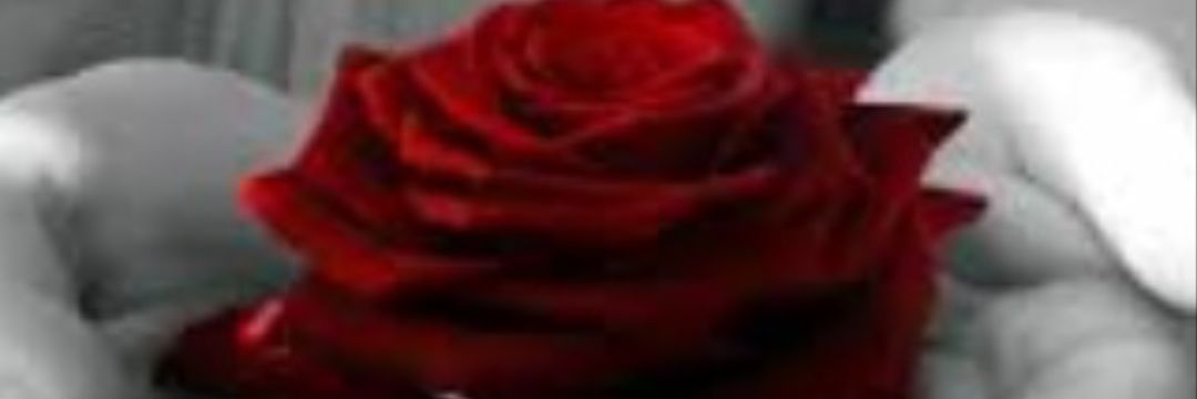 moorrr5555's profile banner image