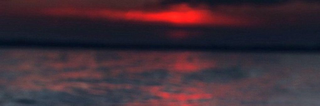 melisabrbr's profile banner image