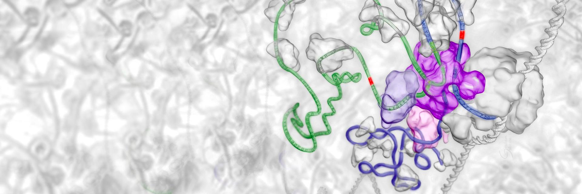 Deep Genomics's banner