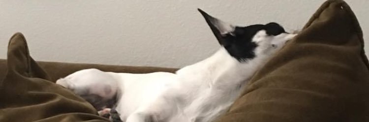 beastiizthebest banner