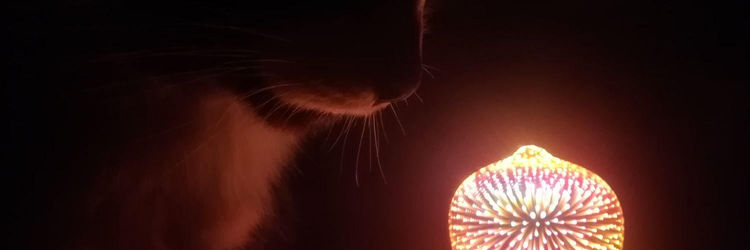 💜🌸🐱Cappy🐱🌸💜( Niomi ) banner