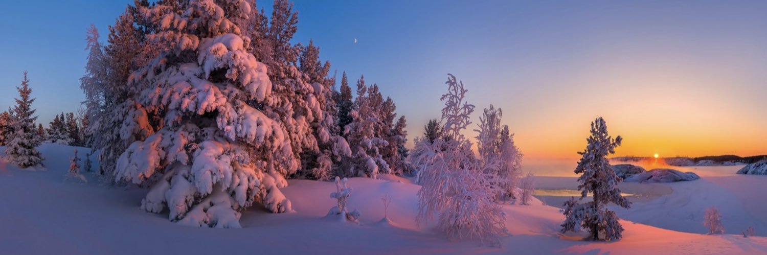 AnaLoseva's profile banner image
