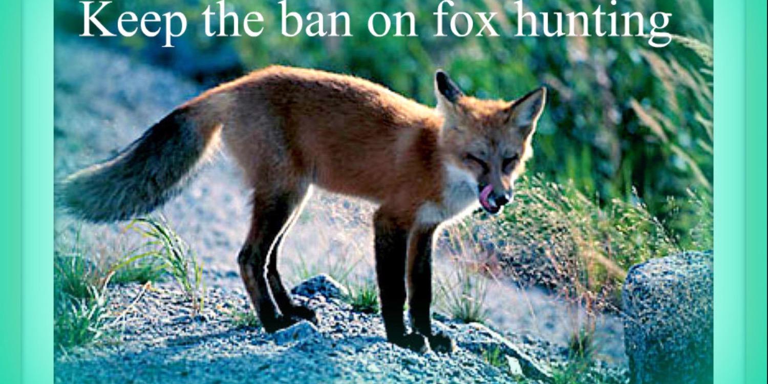 Tweets4animals banner