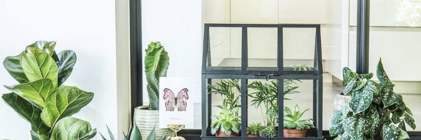 __bahhh's profile banner image