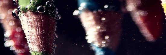 الباشا الباشا banner