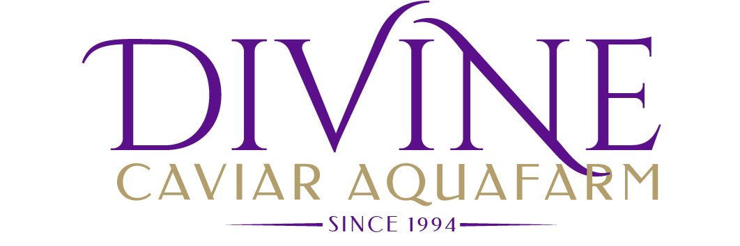 Northern Divine banner