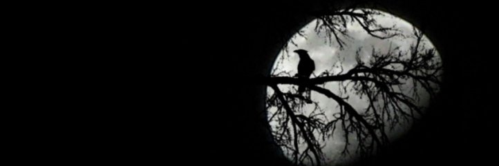 Aleeejandro banner