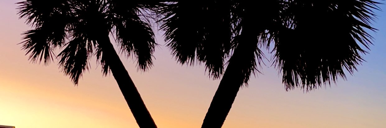 ReberEmily's profile banner image