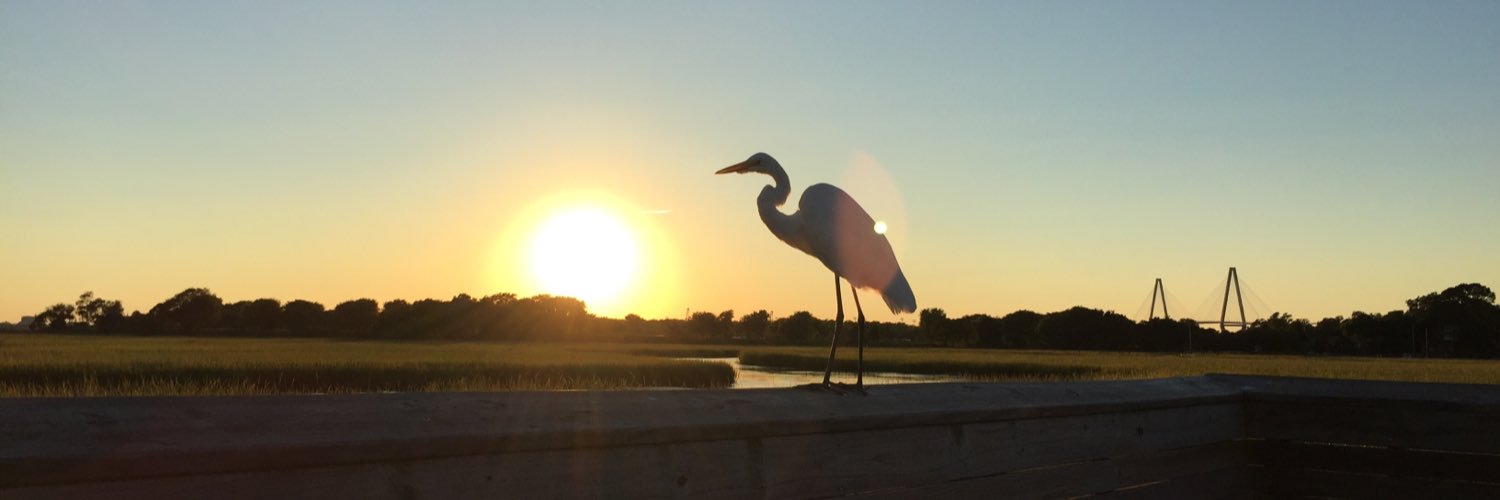 ThomasMoorer's profile banner image